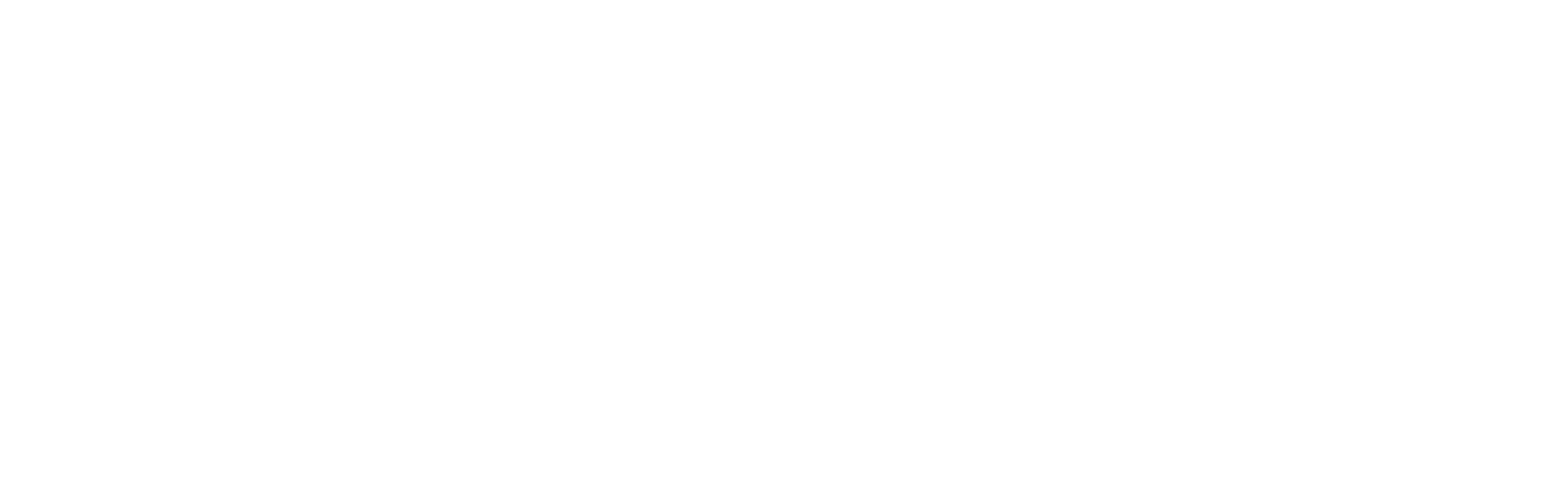 Eleven Sales